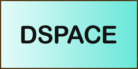 Icon DSPACE
